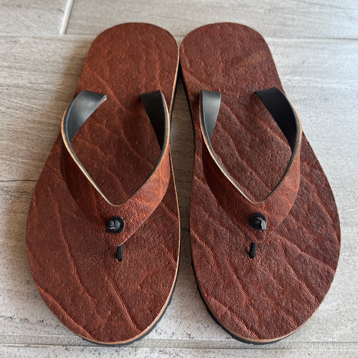 Brown African Elephant