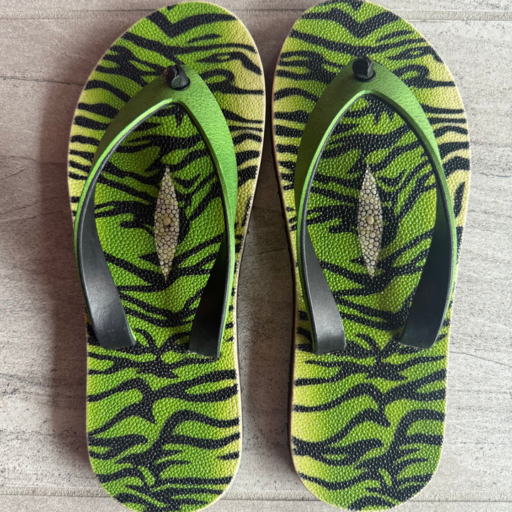 Green Tiger Stingray