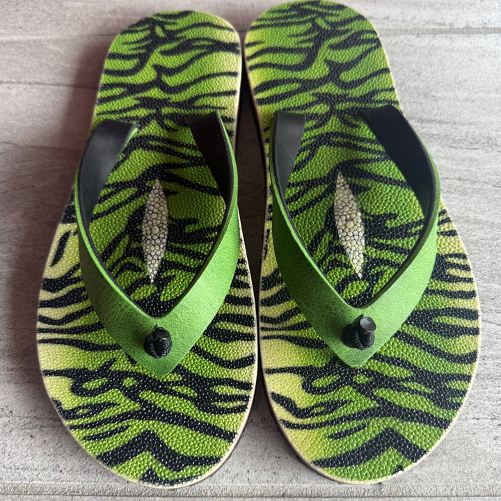 Green Tiger Stingray