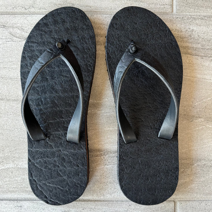 Black African Elephant