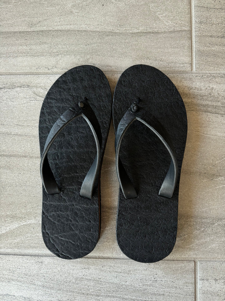 Black African Elephant