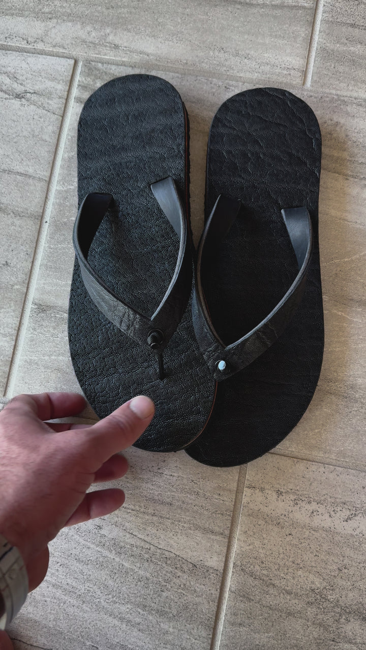 Black African Elephant