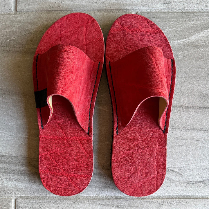 Red Elephant Slides