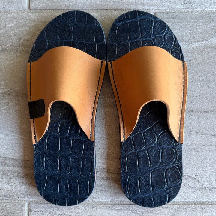 Saltwater Crocodile Slides