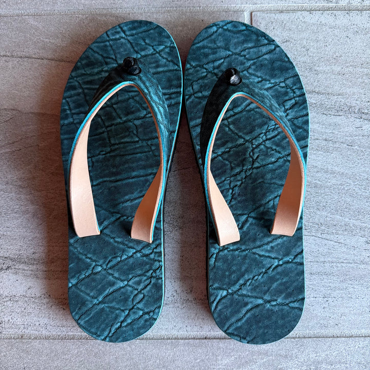 South African Elephant