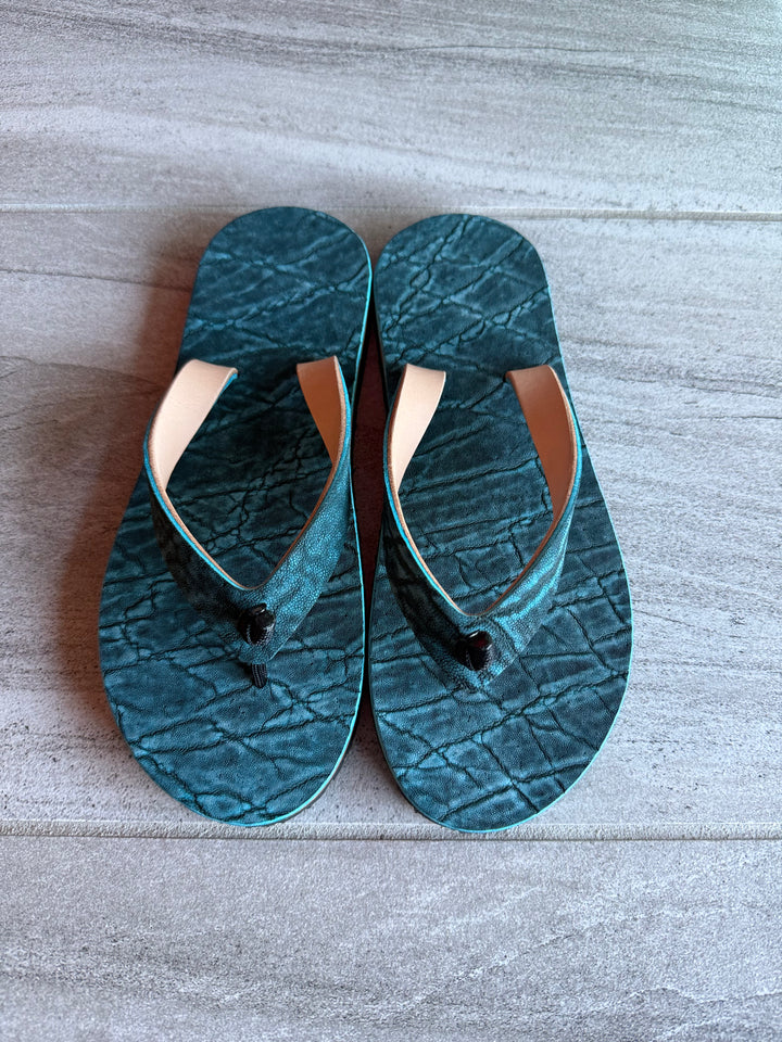 South African Elephant