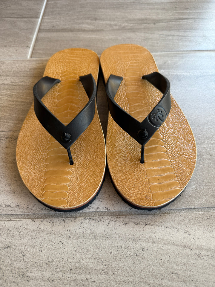 Men's 10 Ostrich RTS