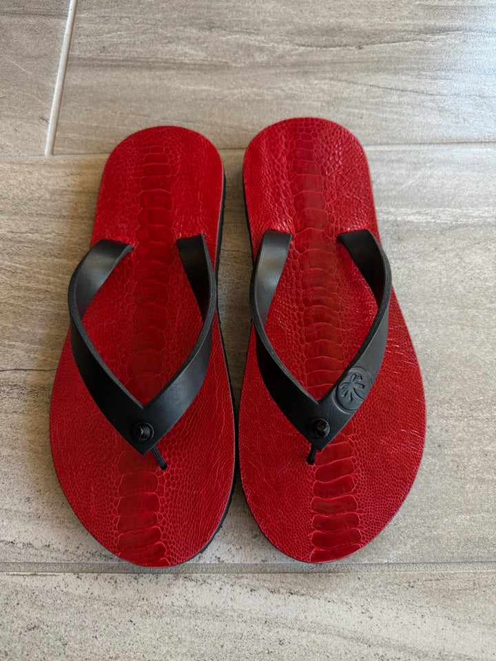 Men's 12 Ostrich RTS